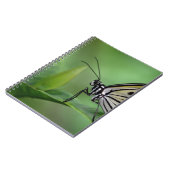 Profil eines Papierkitts Notizblock (Linke Seite)