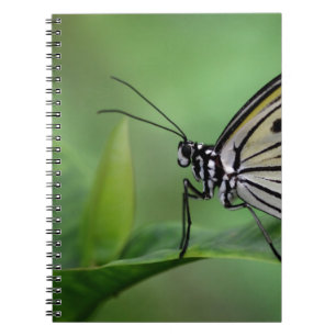 Profil eines Papierkitts Notizblock