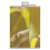 Profil eines Pensiv-Weißkronenspinns Flachmann (Rückseite)