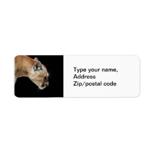 Profil eines Pumas