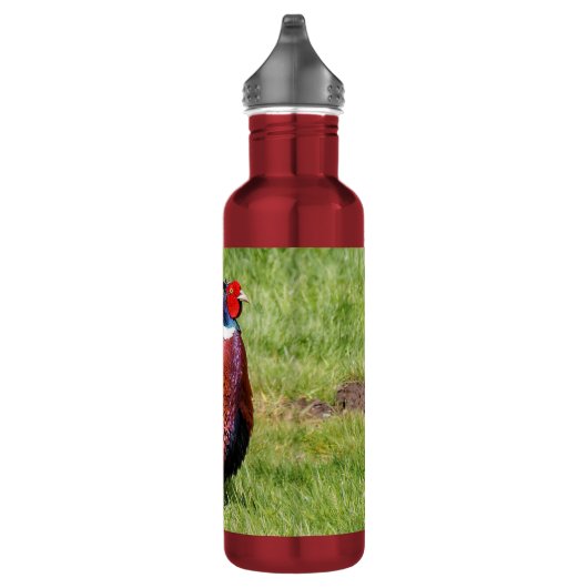 Profil eines Ring-Necked Pheasant Edelstahlflasche (Rechts)
