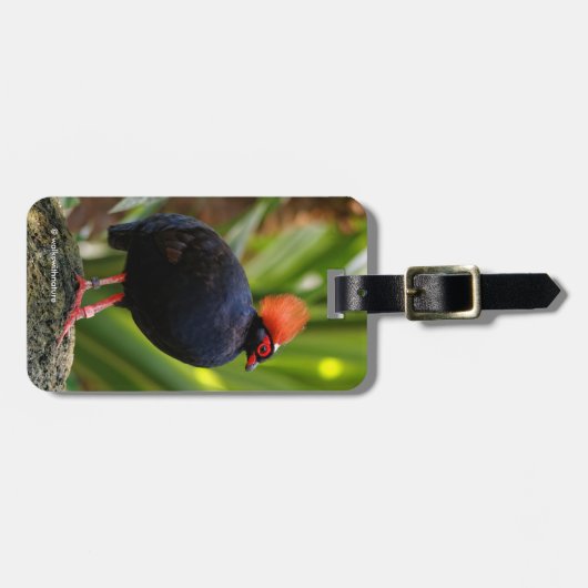 Profil eines Rodelholz-Schmiedewald-Partridge Gepäckanhänger (Vorderseite horizontal)