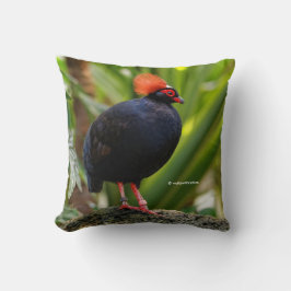 Profil eines Rodelholz-Schmiedewald-Partridge Kissen