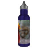Profil eines roten Golden Pheasant Edelstahlflasche (Rechts)