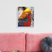 Profil eines roten Golden Pheasant Leinwanddruck (Insitu (Wohnzimmer))