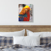 Profil eines roten Golden Pheasant Leinwanddruck (Insitu (Schlafzimmer))