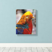 Profil eines roten Golden Pheasant Leinwanddruck (Insitu (Holzboden))