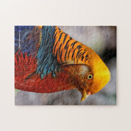 Profil eines roten Golden Pheasant Puzzle (Horizontal)