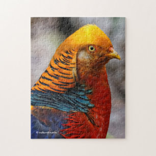 Profil eines roten Golden Pheasant Puzzle