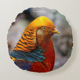 Profil eines roten Golden Pheasant Rundes Kissen