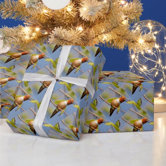 Profil eines Rufous Hummingbird Geschenkpapier (Feiertage)