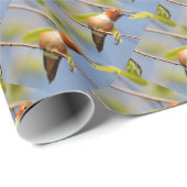 Profil eines Rufous Hummingbird Geschenkpapier (Rolleneckpunkt)