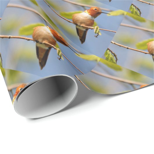Profil eines Rufous Hummingbird Geschenkpapier (Rolleneckpunkt)