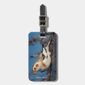 Profil eines Schneebräunens Gepäckanhänger (Vorderseite vertikal)