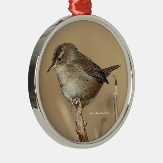 Profil eines schönen Marsh Wren Silbernes Ornament (Rechts)