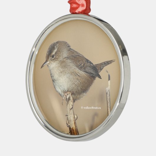 Profil eines schönen Marsh Wren Silbernes Ornament (Links)