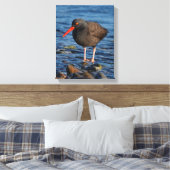 Profil eines schwarzen Austernfängers Leinwanddruck (Insitu (Schlafzimmer))