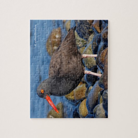 Profil eines schwarzen Austernfängers Puzzle (Vertikal)