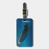 Profil eines Walhais, Indonesien Gepäckanhänger (Vorderseite vertikal)