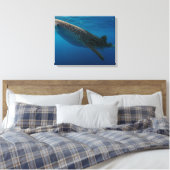 Profil eines Walhais, Indonesien Leinwanddruck (Insitu (Schlafzimmer))