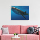 Profil eines Walhais, Indonesien Leinwanddruck (Insitu (Wohnzimmer))