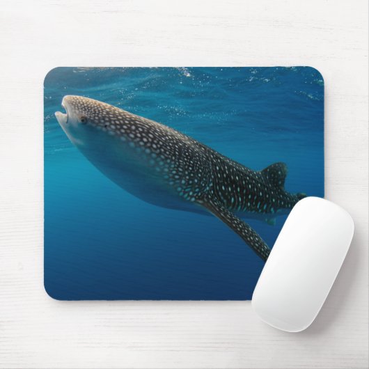Profil eines Walhais, Indonesien Mousepad (Mit Mouse)