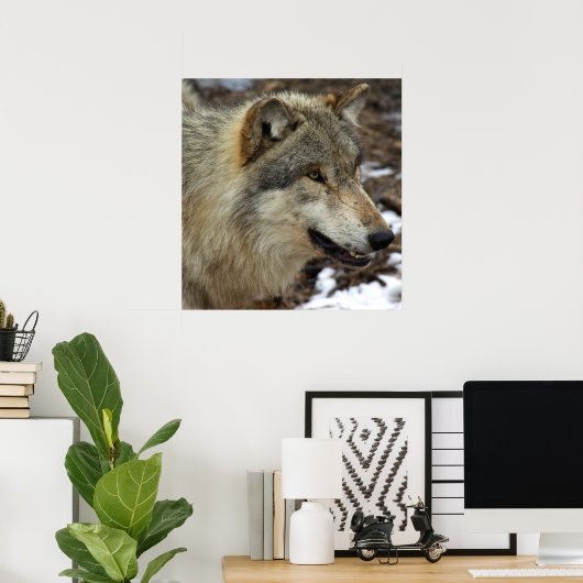 Profil eines Wolfs Poster (Heimbüro)