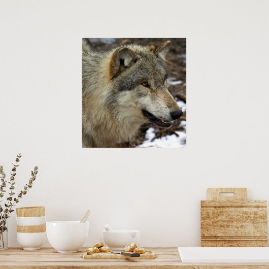 Profil eines Wolfs Poster (Küche)