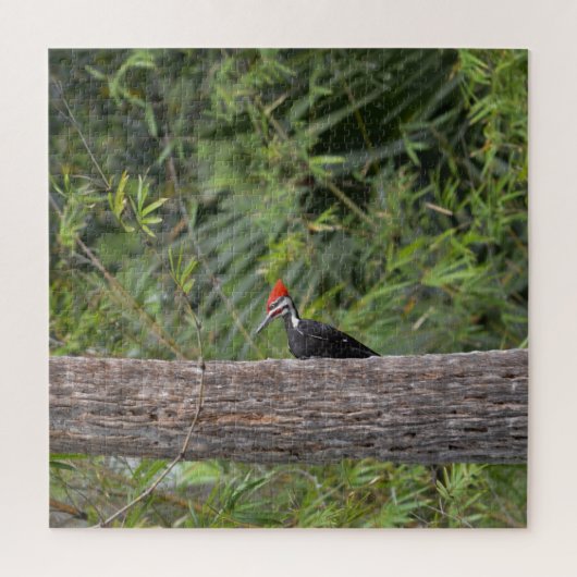 Profil Florida Pileated Woodpecker Nature Foto Puzzle (Vertikal)