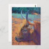 Profil Highland Cow Postkarte (Vorne/Hinten)