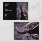 Profil oder Visitenkarte, Anhinga Visitenkarte (Vorne/Hinten)