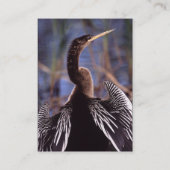 Profil oder Visitenkarte, Anhinga Visitenkarte (Rückseite)