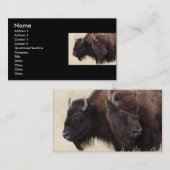 Profil oder Visitenkarte, Bison Visitenkarte (Vorne/Hinten)