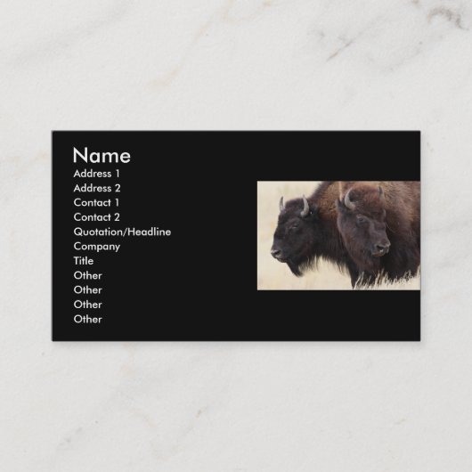 Profil oder Visitenkarte, Bison Visitenkarte (Vorderseite)