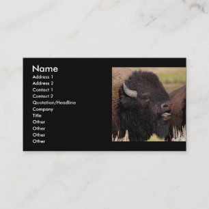 Profil oder Visitenkarte, Bisonbrummen Visitenkarte