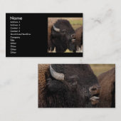 Profil oder Visitenkarte, Bisonbrummen Visitenkarte (Vorne/Hinten)