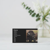 Profil oder Visitenkarte, Bisonbrummen Visitenkarte (Stehend Vorderseite)