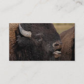 Profil oder Visitenkarte, Bisonbrummen Visitenkarte (Rückseite)