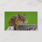 Profil oder Visitenkarte, Chipmunk Visitenkarte (Rückseite)