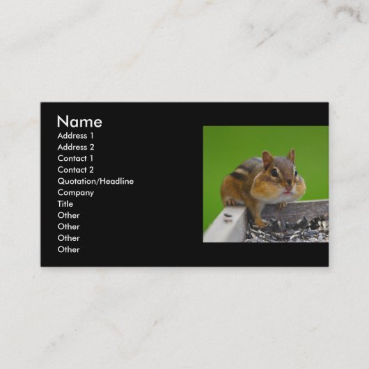 Profil oder Visitenkarte, Chipmunk Visitenkarte (Vorderseite)