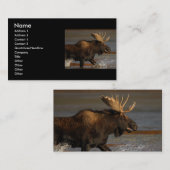 Profil oder Visitenkarte, Elch Visitenkarte (Vorne/Hinten)