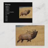 Profil oder Visitenkarte, Elch Visitenkarte (Vorne/Hinten)