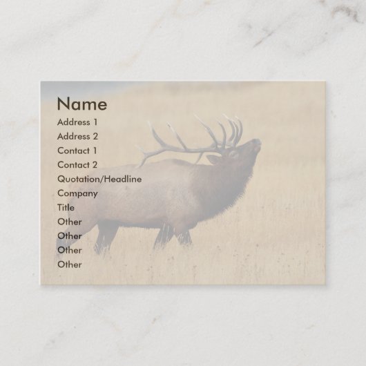 Profil oder Visitenkarte, Elch Visitenkarte (Vorderseite)