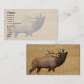 Profil oder Visitenkarte, Elch Visitenkarte (Vorne/Hinten)