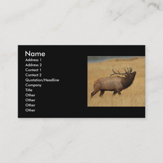Profil oder Visitenkarte, Elch Visitenkarte (Vorderseite)