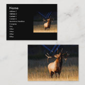 Profil oder Visitenkarte, Elch Visitenkarte (Vorne/Hinten)