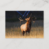 Profil oder Visitenkarte, Elch Visitenkarte (Rückseite)