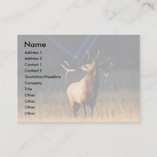 Profil oder Visitenkarte, Elch Visitenkarte