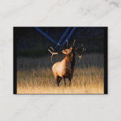 Profil oder Visitenkarte, Elch Visitenkarte (Rückseite)