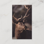 Profil oder Visitenkarte, Elch Visitenkarte (Rückseite)